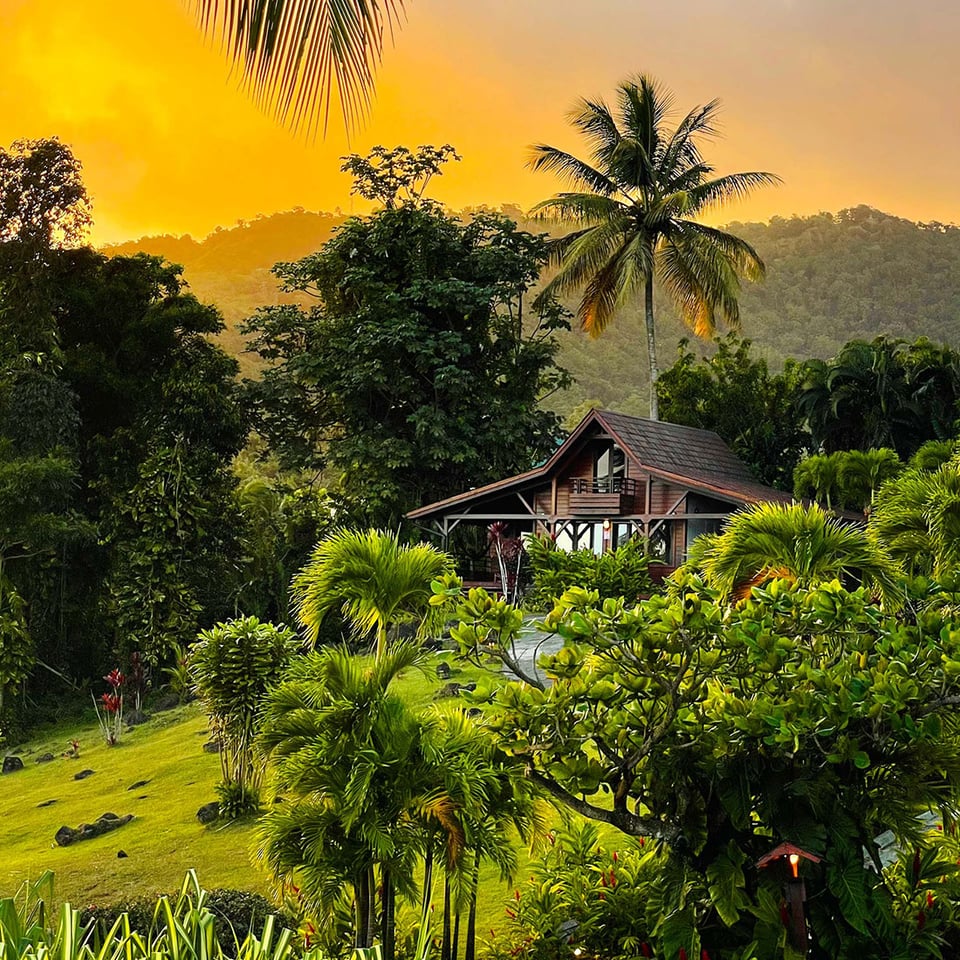 Le Jardin Malanga Hotel, how it began