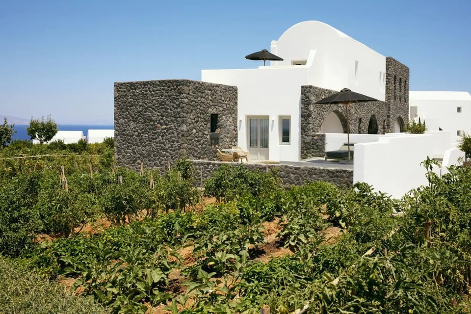 Santo Pure Oia Suites & Villas, how it began