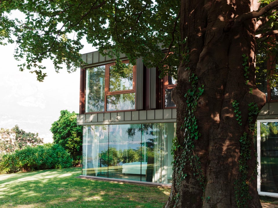Casa sull'Albero, how it began