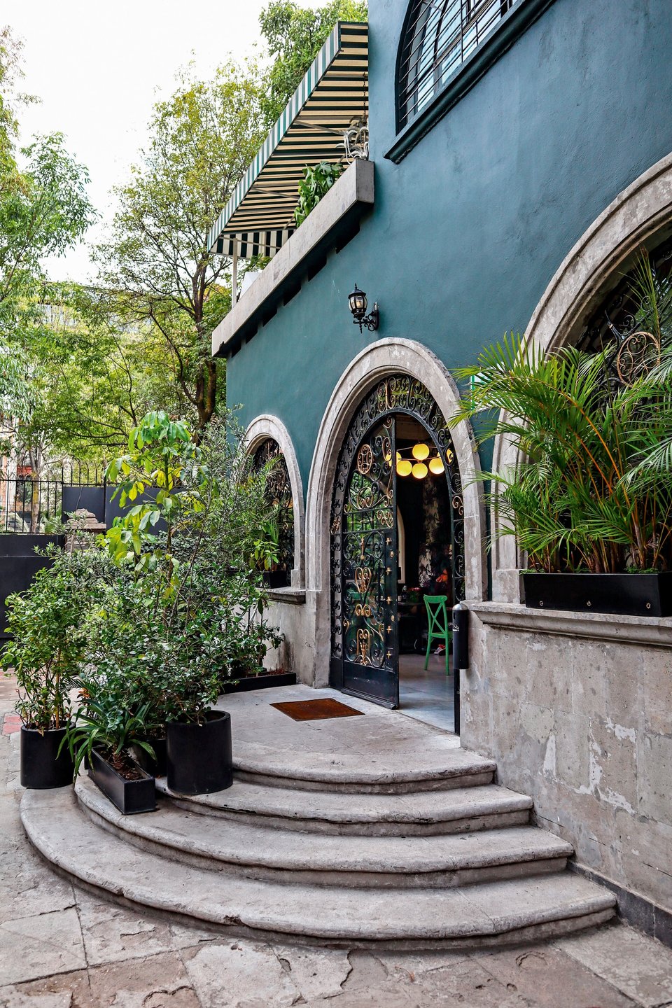 Hotel Pug Seal Polanco Anatole France, how it began