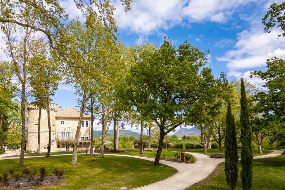 Château Les Oliviers de Salettes, how it began