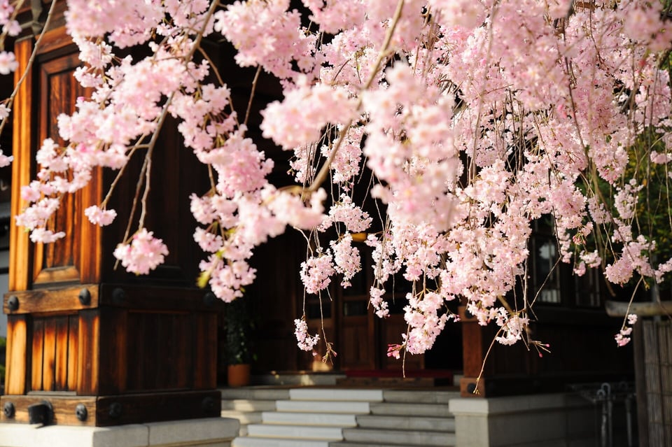 Nara Hotel, how it began