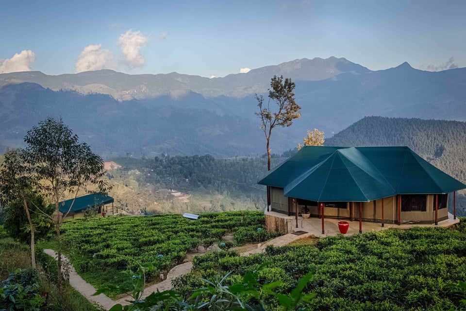 Madulkelle Tea and Eco Lodge, how it began