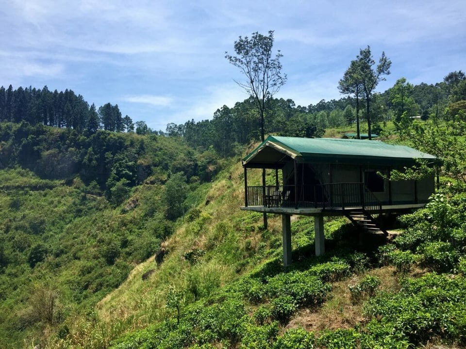 Madulkelle Tea and Eco Lodge, how it began