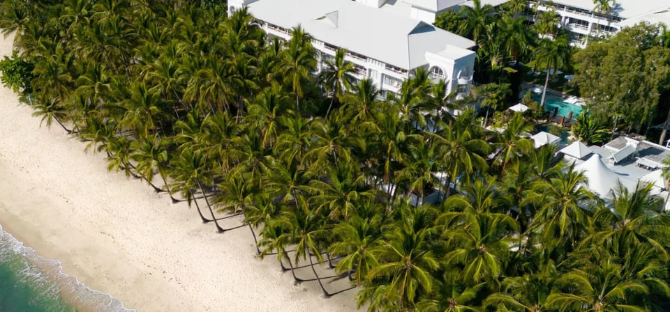 Alamanda Palm Cove by Lancemore, how it began