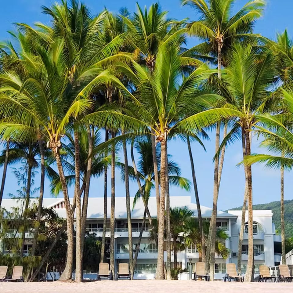 Alamanda Palm Cove by Lancemore, how it began