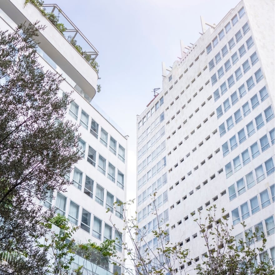 Mondrian Condesa, how it began