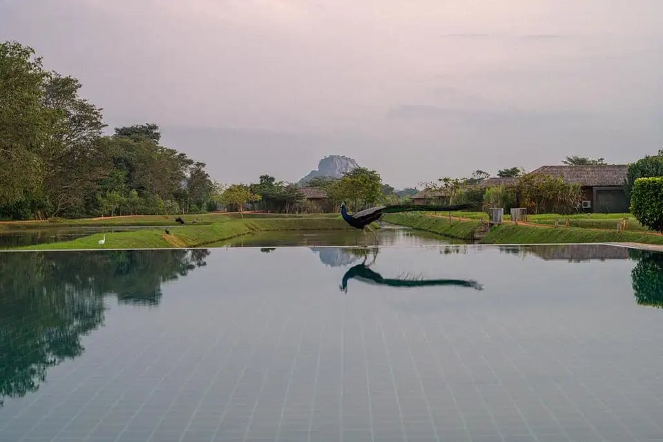 Water Garden Sigiriya
